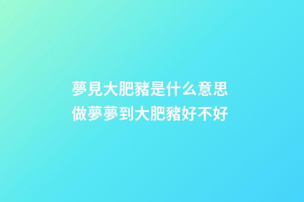 夢見大肥豬是什么意思 做夢夢到大肥豬好不好